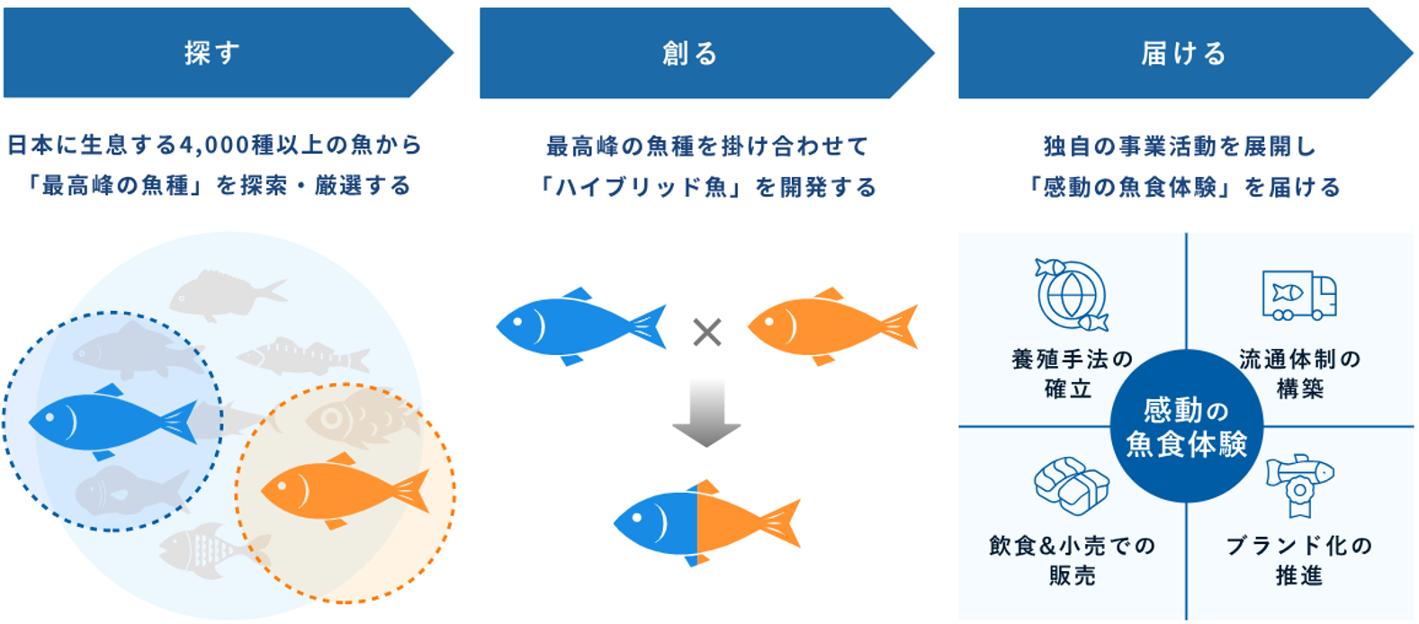 株式会社さかなドリーム