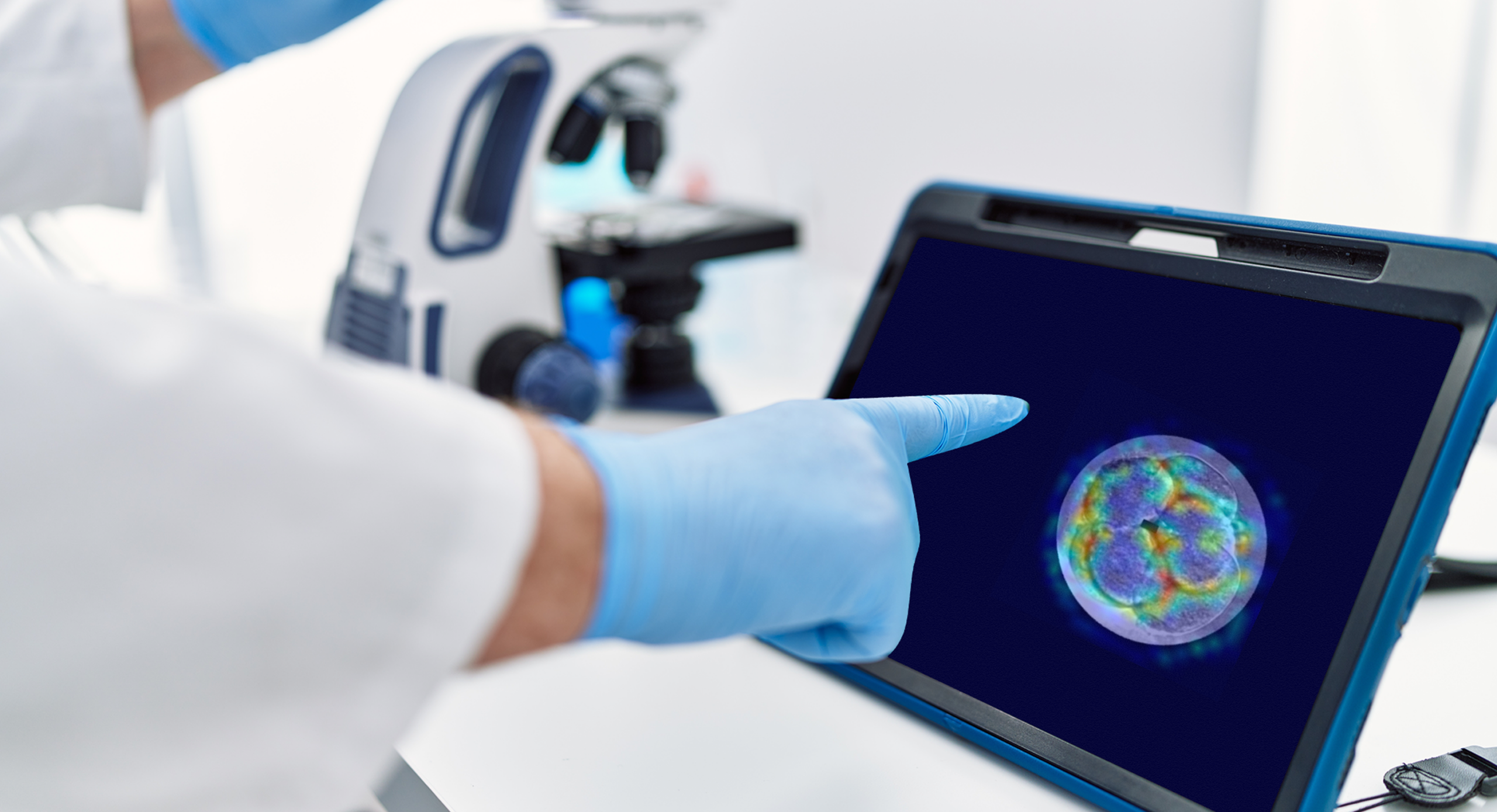 株式会社メデタ